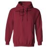 Heavy Blend  Adult Hooded Sweatshirt Thumbnail