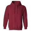 Heavy Blend  Adult Hooded Sweatshirt Thumbnail