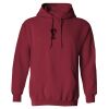 Heavy Blend  Adult Hooded Sweatshirt Thumbnail