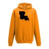 College hoodie Thumbnail